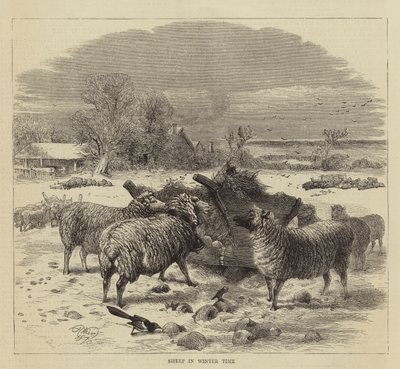 Ovejas en Invierno de Harrison William Weir